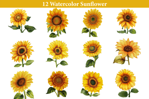Download Watercolor Sunflower Clipart - Flower Collection