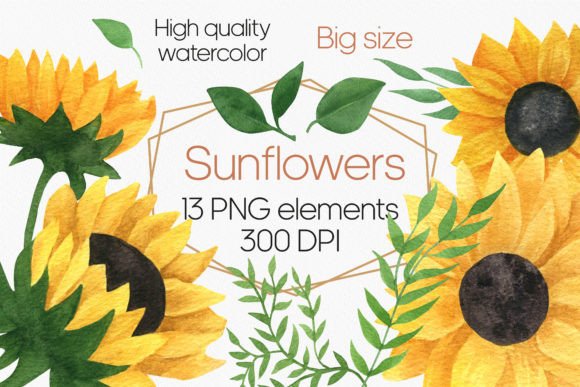 Download Sunflower Watercolor Clipart PNG - Flower Collection