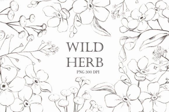 Download Wildflower Png. Vintage Flowers - Flower Collection