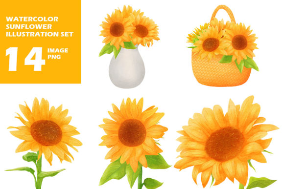 Download Sunflower - Flower Collection
