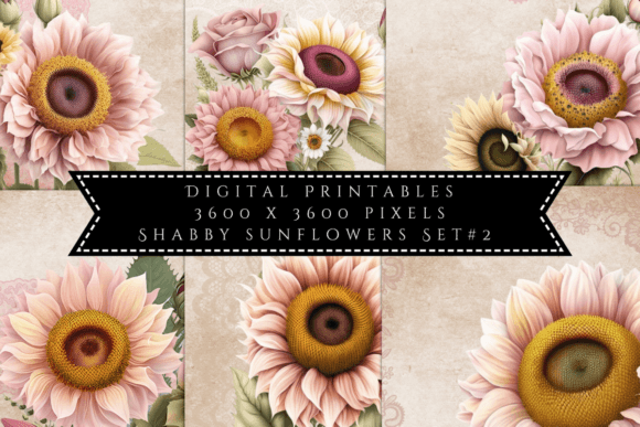 Download Shabby Sunflowers Illustrations Set 2 - Flower Collection
