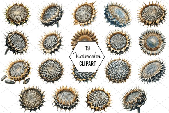 Download Sunflower Bliss Art Watercolor Bundle - Flower Collection