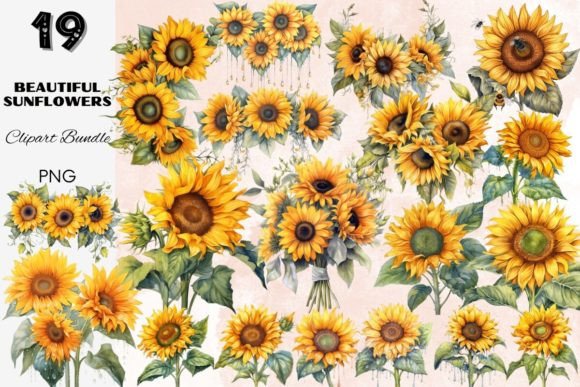 Download Sunflower Summer Sun Flower Sunflowers - Flower Collection