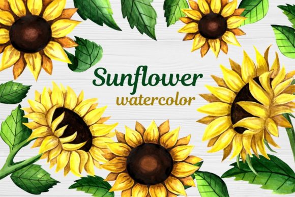 Download Sunflower Clipart Watercolor - Flower Collection