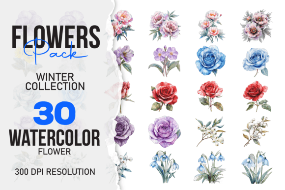Download Watercolor Winter Flower 30 Pack PNG - Flower Collection