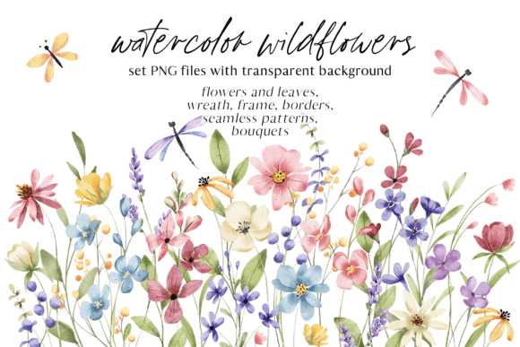 Download Watercolor wild Flowers set, PNG files. - Flower Collection